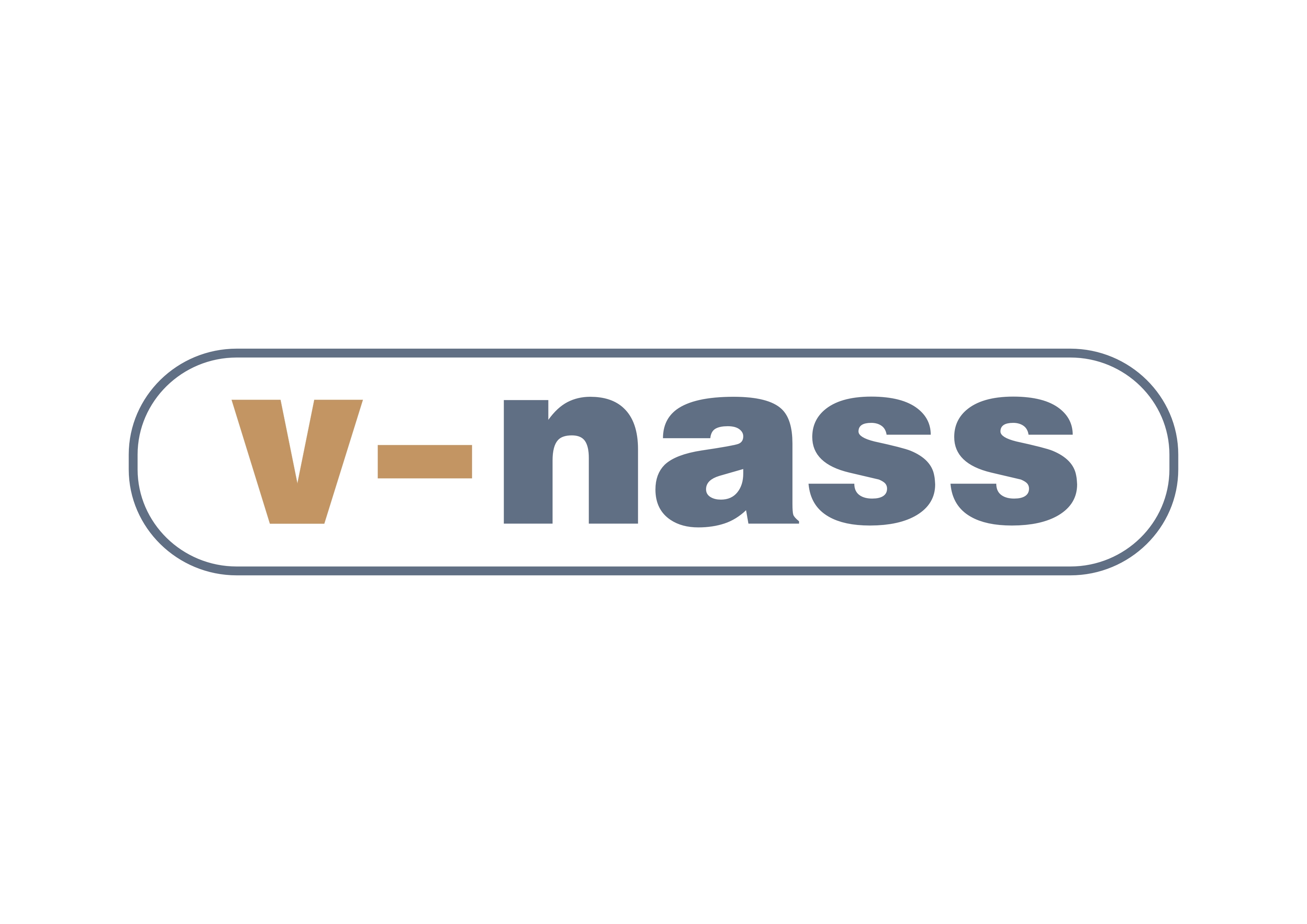 V-NASS, a.s.