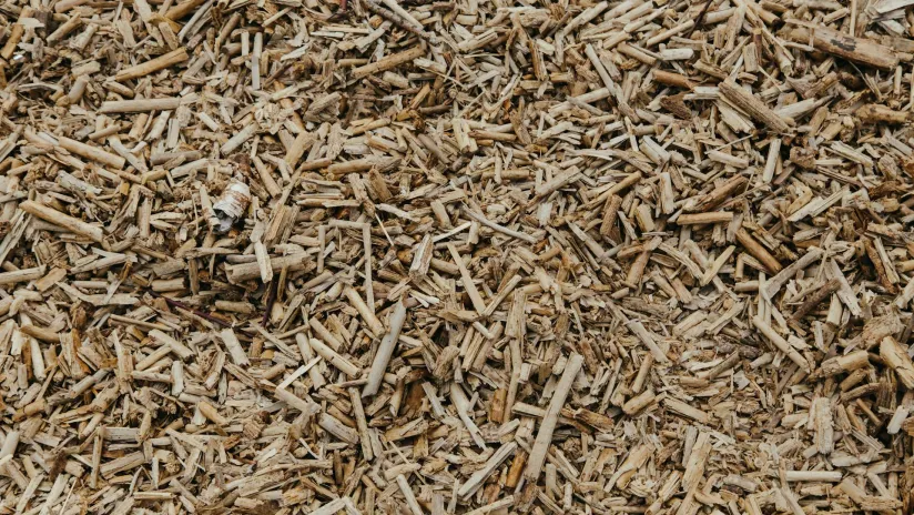Připomínky SP ČR k vyhlášce o stanovení druhů a parametrů POZE