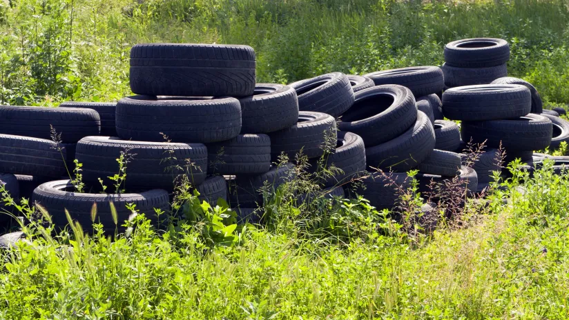 Životní prostředí a udržitelnost: Co se nám povedlo prosadit v roce 2025?